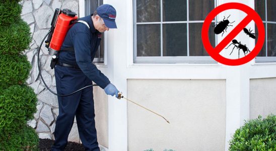 Akıncılar Böcek İlaçlama böcek ilaçlama ve haşere kontrolü — ilaclama-tr.com